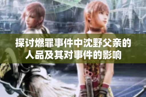 探讨燃罪事件中沈野父亲的人品及其对事件的影响