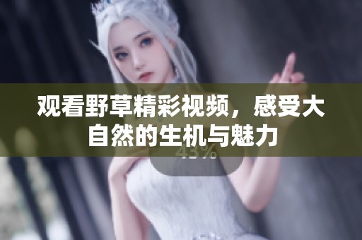 观看野草精彩视频，感受大自然的生机与魅力