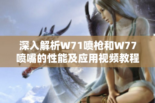 深入解析W71喷枪和W77喷嘴的性能及应用视频教程