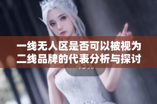 一线无人区是否可以被视为二线品牌的代表分析与探讨