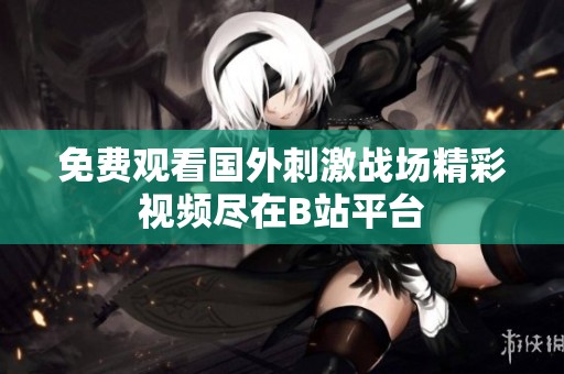 免费观看国外刺激战场精彩视频尽在B站平台