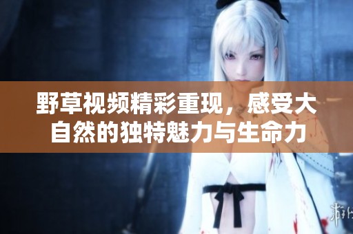 野草视频精彩重现，感受大自然的独特魅力与生命力