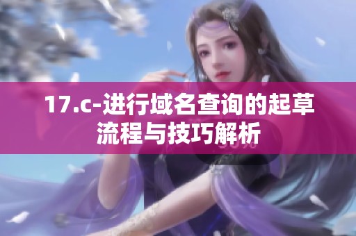17.c-进行域名查询的起草流程与技巧解析