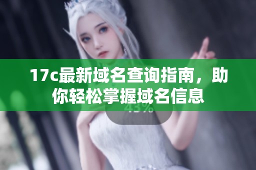 17c最新域名查询指南，助你轻松掌握域名信息