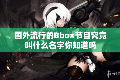 国外流行的Bbox节目究竟叫什么名字你知道吗