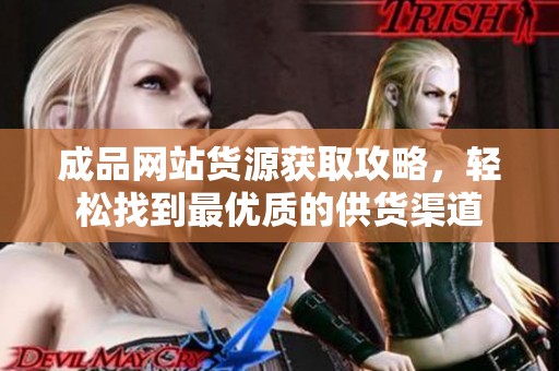 成品网站货源获取攻略，轻松找到最优质的供货渠道