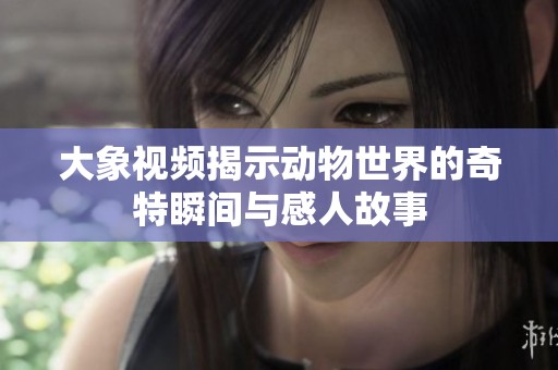 大象视频揭示动物世界的奇特瞬间与感人故事